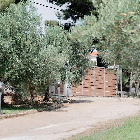 Apartament Aelia Metamorfosi  Zewnętrze zdjęcie