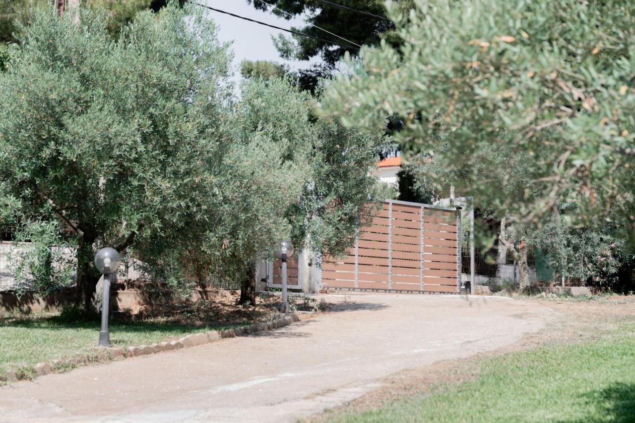 Apartament Aelia Metamorfosi  Zewnętrze zdjęcie